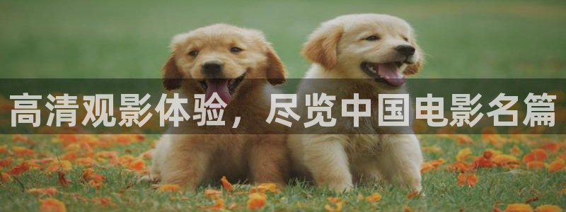 97影院秋霞伦理：高清观影体验，尽览中国电影名篇