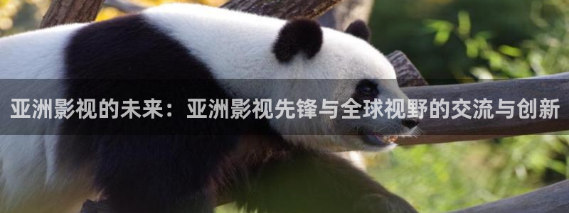 在线观看秋霞影院：亚洲影视的未来：亚洲影视先锋与全球视野的交流与创新